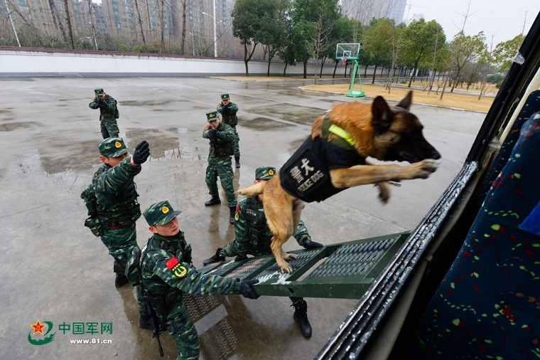 为啥不建议女人学爵士舞？